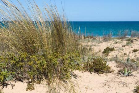 Casa Felipa, Una Estancia Unica En La Costa Blanca Guardamar del Segura Buitenkant foto