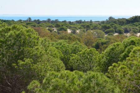 Casa Felipa, Una Estancia Unica En La Costa Blanca Guardamar del Segura Buitenkant foto